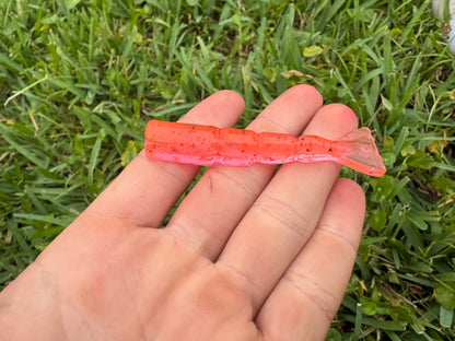 3 Inch Hand Poured Shrimps 5 pcs